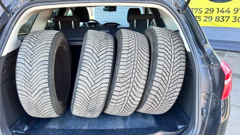 photo_16_2026-03-18_10-25-48