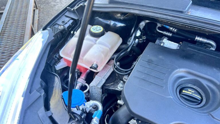 photo_27_2026-03-18_10-25-48