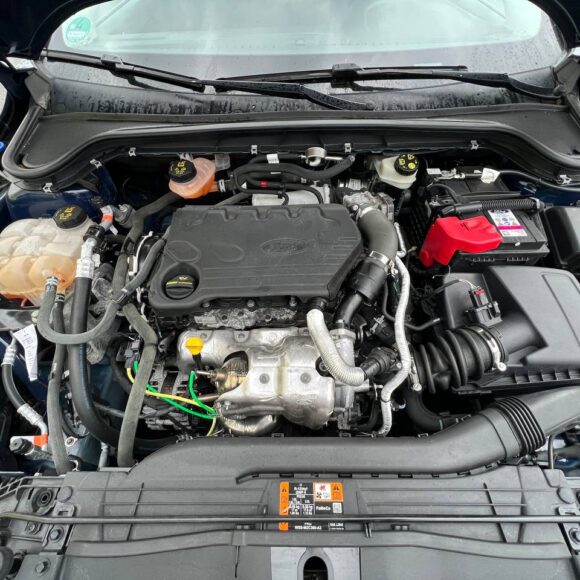 photo_23_2026 04 17_18 02 09 580x580