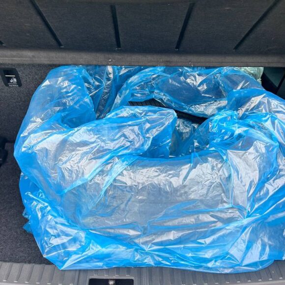 photo_20_2026 03 30_13 41 02 580x580