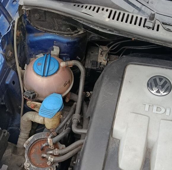 photo_25_2026 04 06_13 58 14 580x576