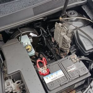 photo_1_2026-04-06_12-52-52