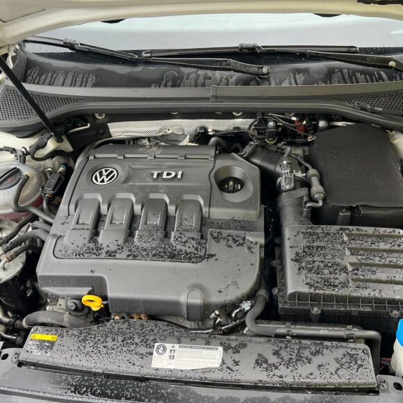 photo_22_2026 04 17_16 55 46 580x580