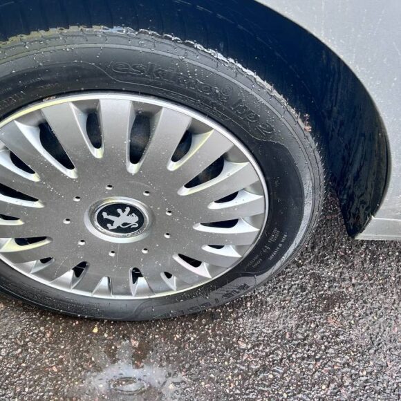 photo_12_2026 03 11_14 11 50 580x580