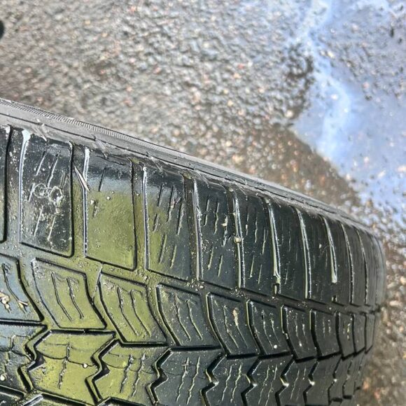 photo_13_2026 03 11_14 11 50 580x580