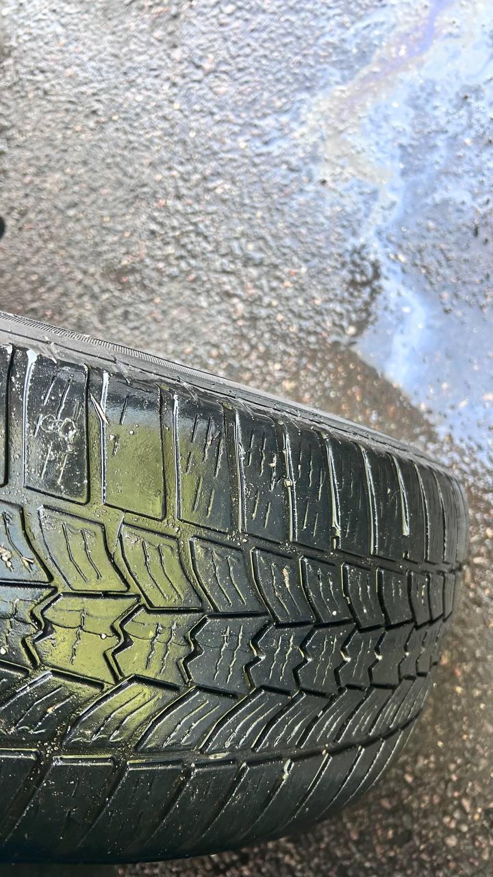 photo_13_2026-03-11_14-11-50