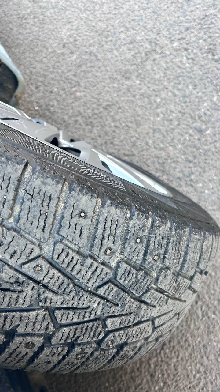 photo_13_2026-03-19_16-20-40