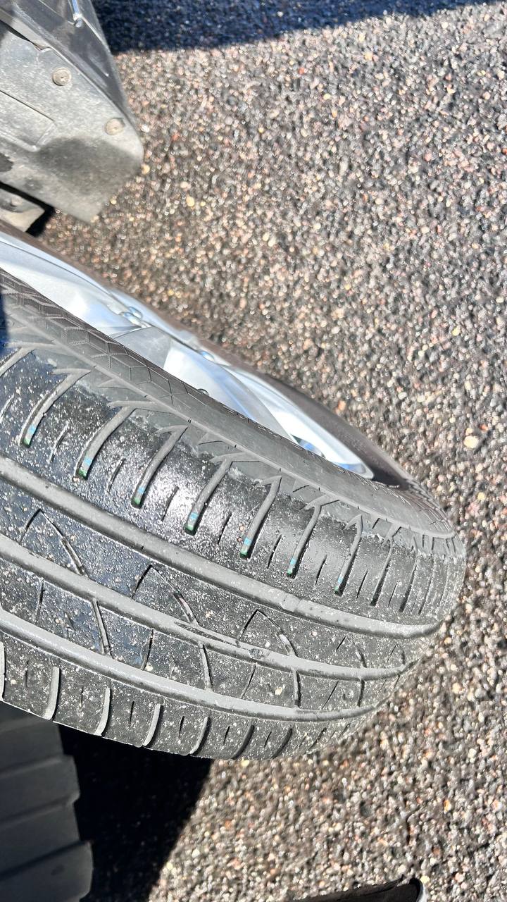 photo_14_2026-03-10_14-34-00