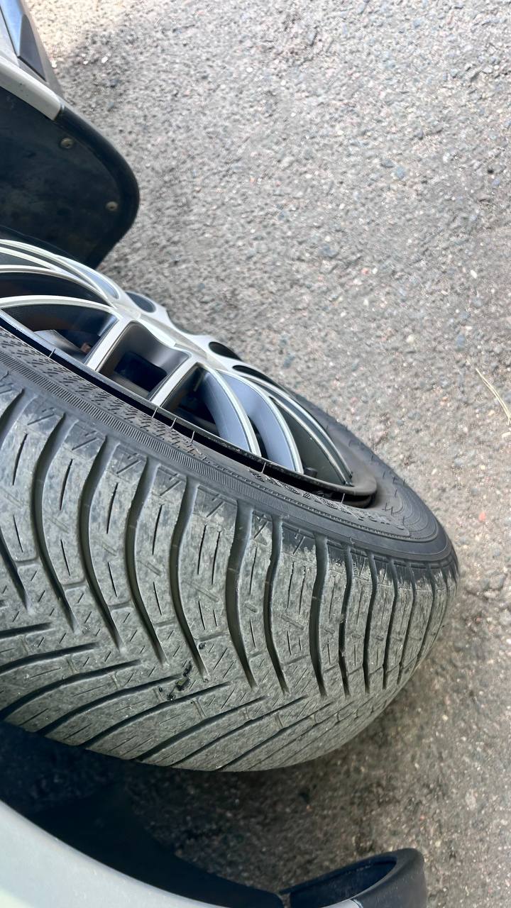 photo_14_2026-03-26_12-37-21