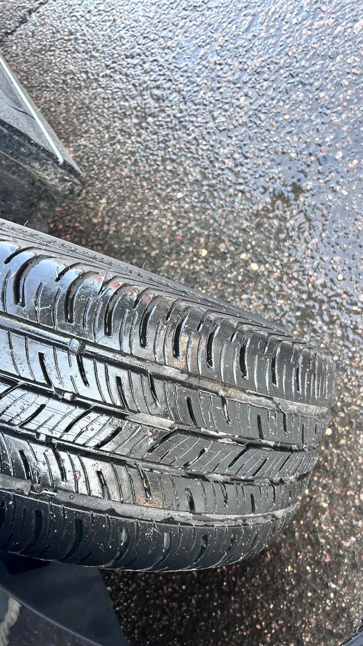 photo_15_2026-03-12_09-58-52