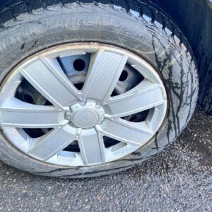 photo_17_2026-03-11_10-08-32