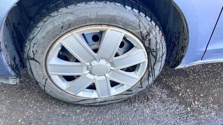 photo_17_2026-03-11_10-08-32