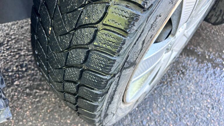 photo_18_2026-03-11_10-08-32