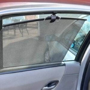 photo_18_2026-03-19_16-20-40