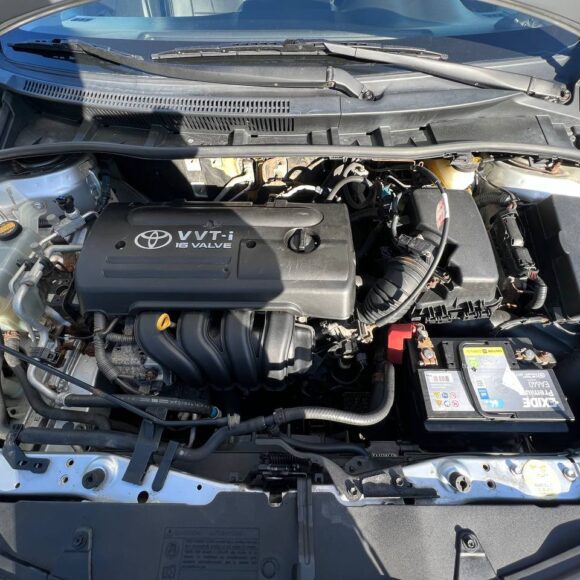 photo_22_2026 03 08_11 27 56 580x580