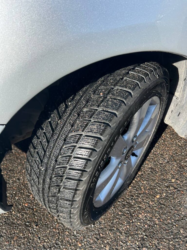 photo_23_2026-03-08_11-27-56