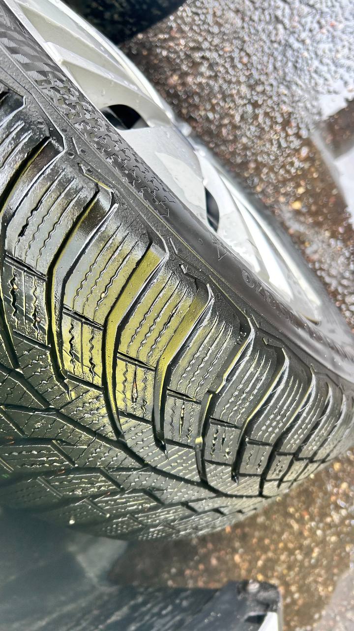 photo_24_2026-03-03_14-04-44