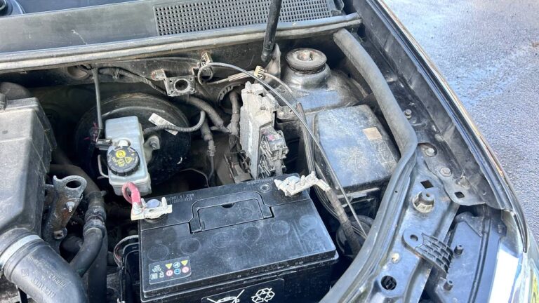 photo_25_2026-03-10_13-40-35