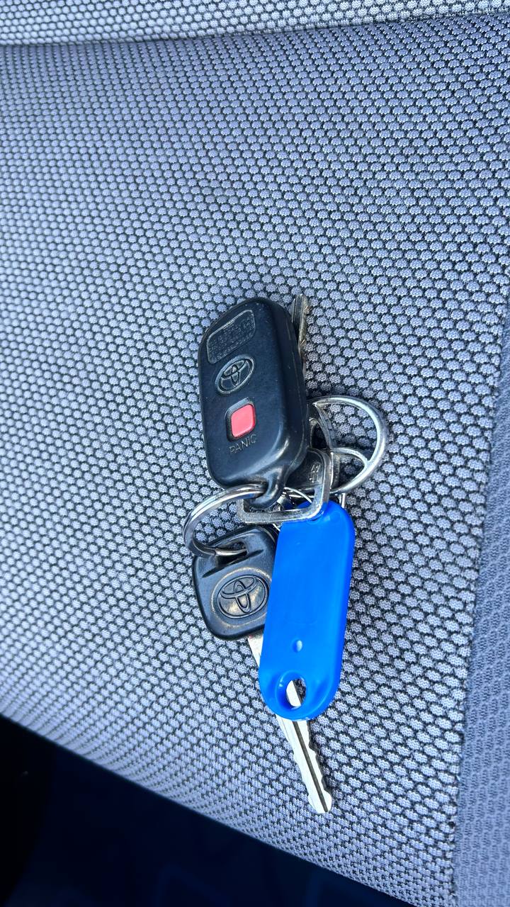 photo_25_2026-03-11_10-08-32