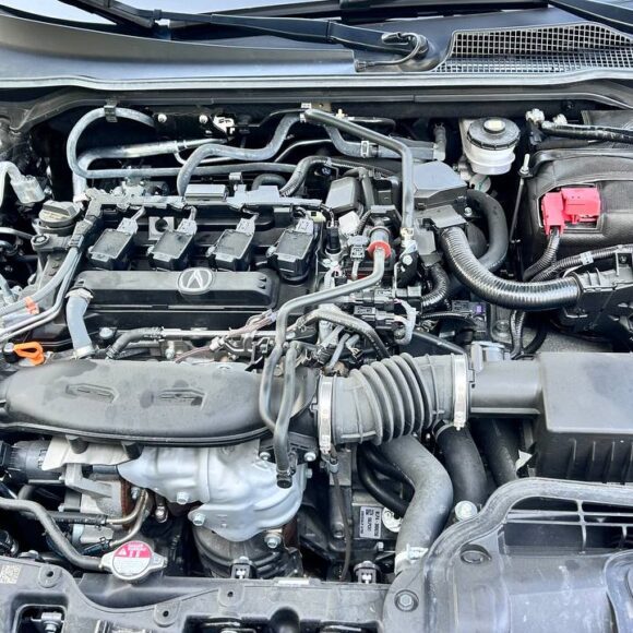 photo_25_2026 03 12_09 58 52 580x580