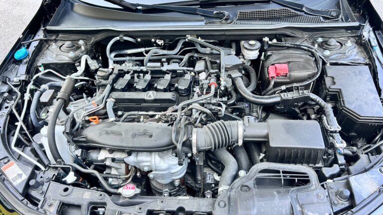 photo_25_2026-03-12_09-58-52