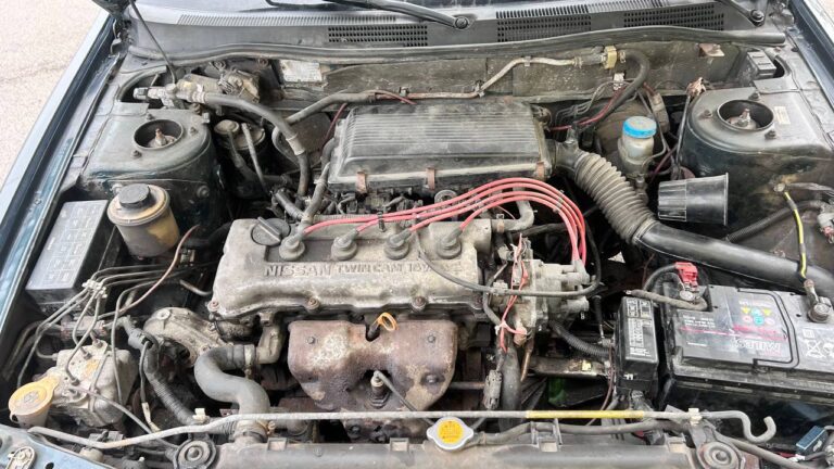 photo_25_2026-03-26_12-36-38