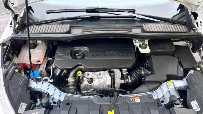 photo_26_2026-03-03_14-04-44