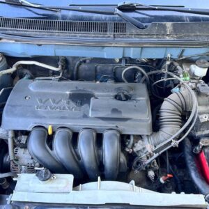 photo_26_2026-03-11_10-08-32