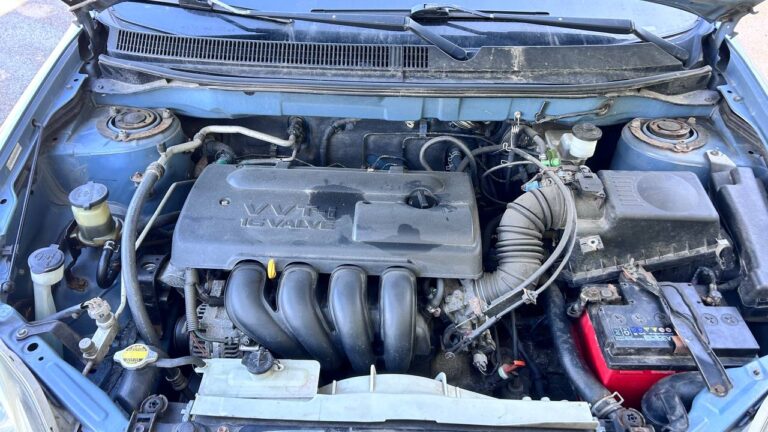 photo_26_2026-03-11_10-08-32