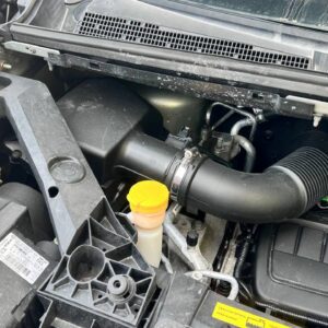 photo_26_2026-03-12_14-21-08