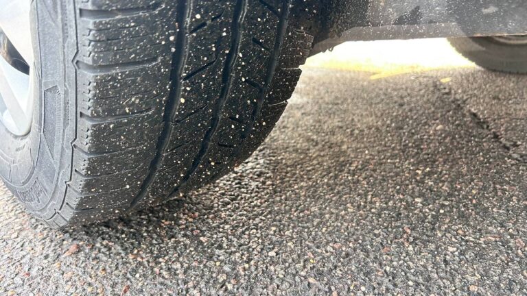 photo_27_2026-03-12_14-21-08