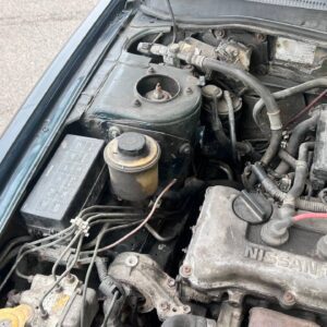 photo_27_2026-03-26_12-36-38