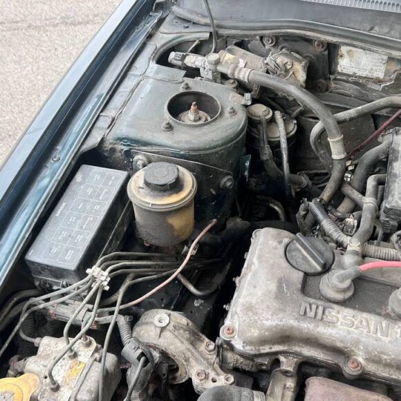 photo_27_2026 03 26_12 36 38 580x580