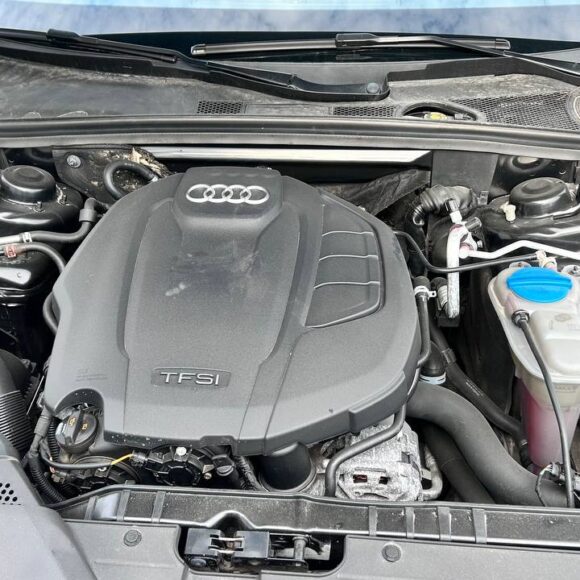 photo_27_2026 03 27_14 18 39 580x580