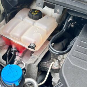 photo_28_2026-03-03_14-04-44