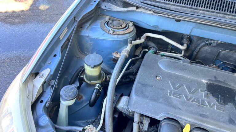 photo_28_2026-03-11_10-08-32