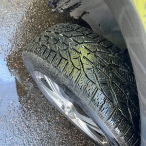 photo_3_2026-03-15_10-09-52