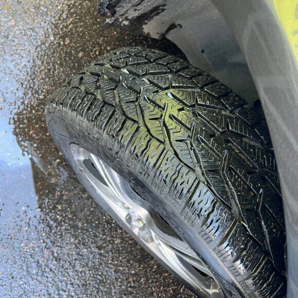 photo_3_2026 03 15_10 09 52 580x580