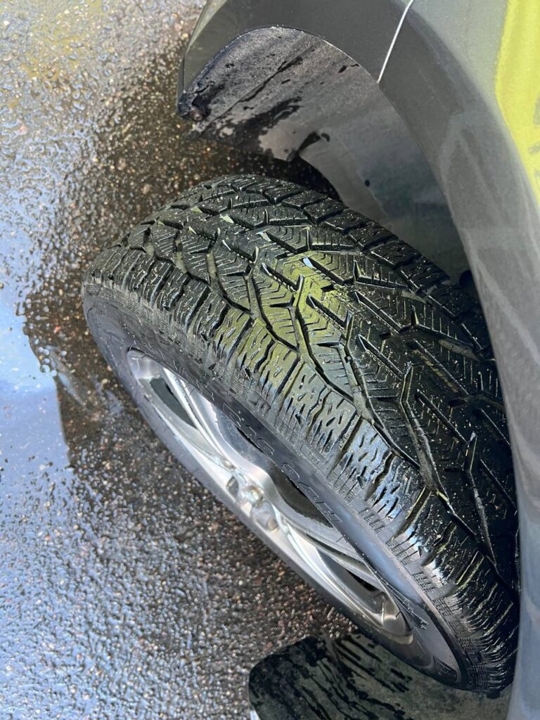 photo_3_2026-03-15_10-09-52