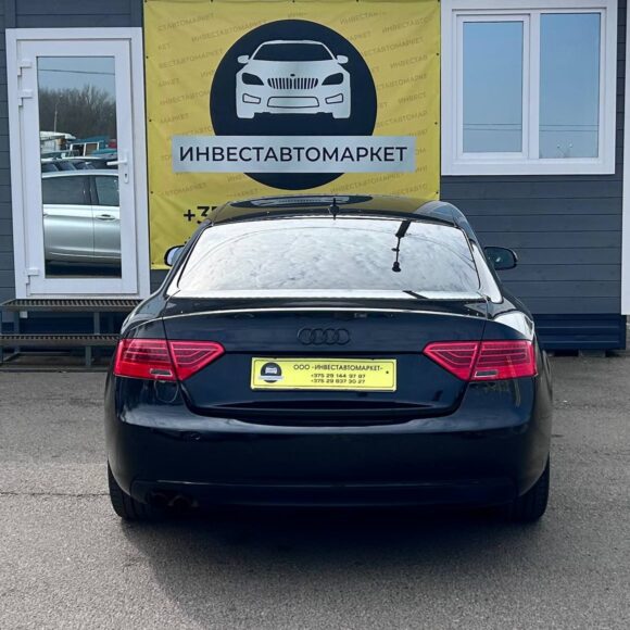 photo_7_2026 03 27_14 18 39 580x580