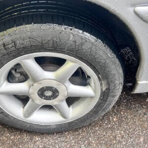 photo_11_2026-04-07_16-51-40