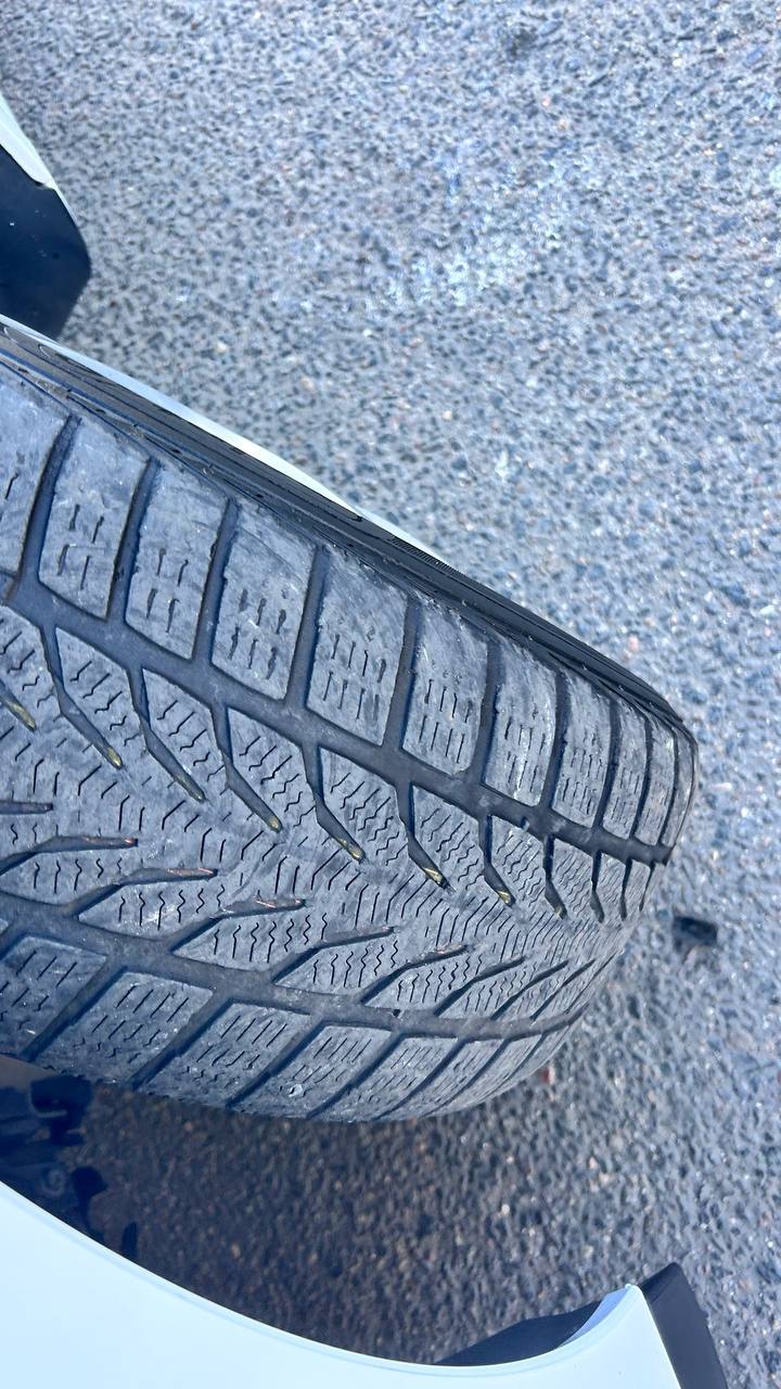 photo_13_2026-04-04_12-26-41