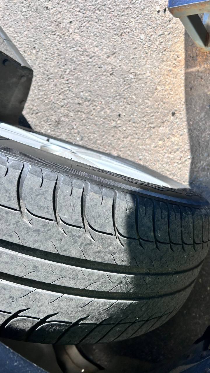 photo_15_2026-04-10_11-09-42