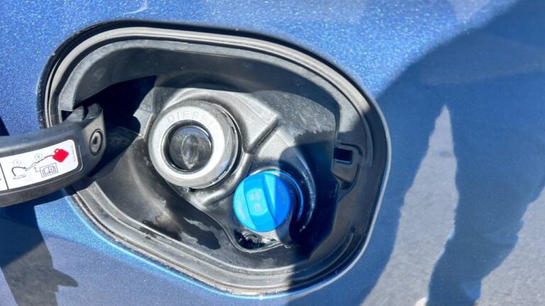 photo_20_2026-04-01_13-12-10