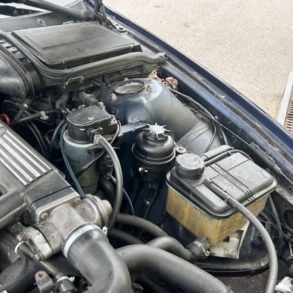 photo_23_2026 04 09_18 00 04 580x580