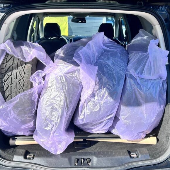 photo_23_2026 04 10_11 09 42 580x580