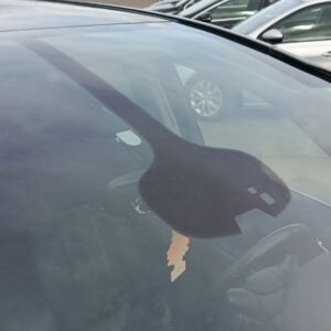 photo_29_2026-04-06_15-22-29