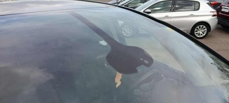 photo_29_2026-04-06_15-22-29