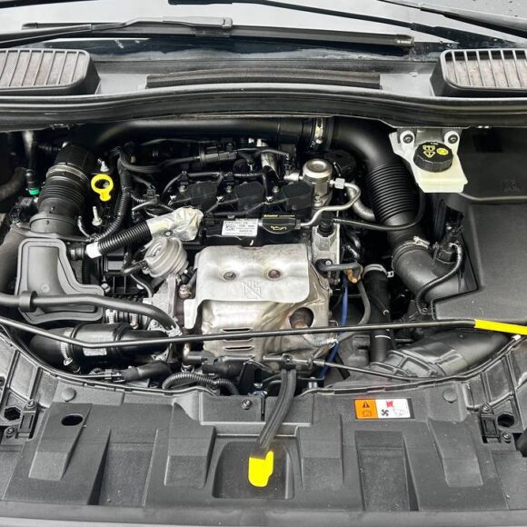 photo_31_2026 04 09_17 28 30 580x580