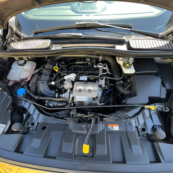  C-MAX